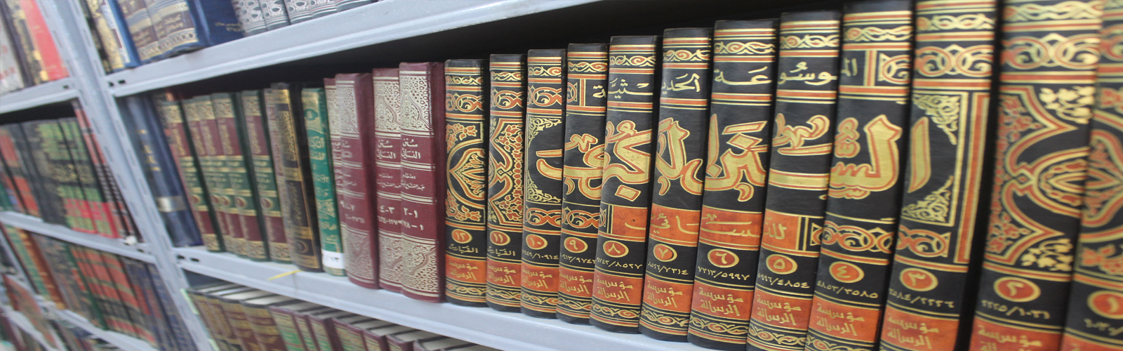 المكتبة الإنسانية